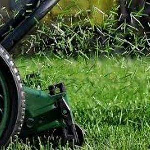Lawn Mowers & Brushcutters